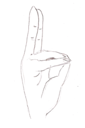 Pran Mudra