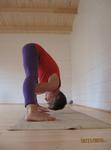 Prasarita Padottanasana